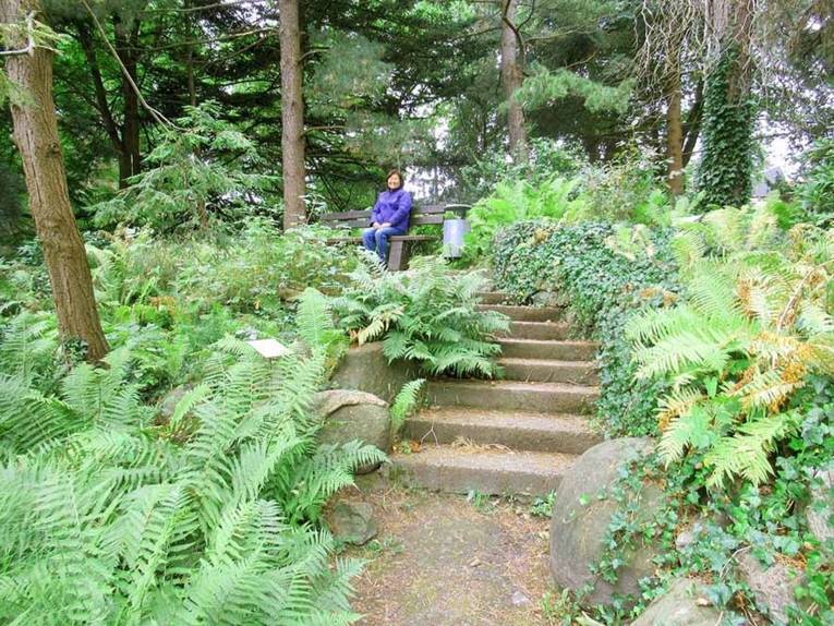 Bank im Grünen. Darauf sitzt eine Person. Davor eine steinerne Treppe.